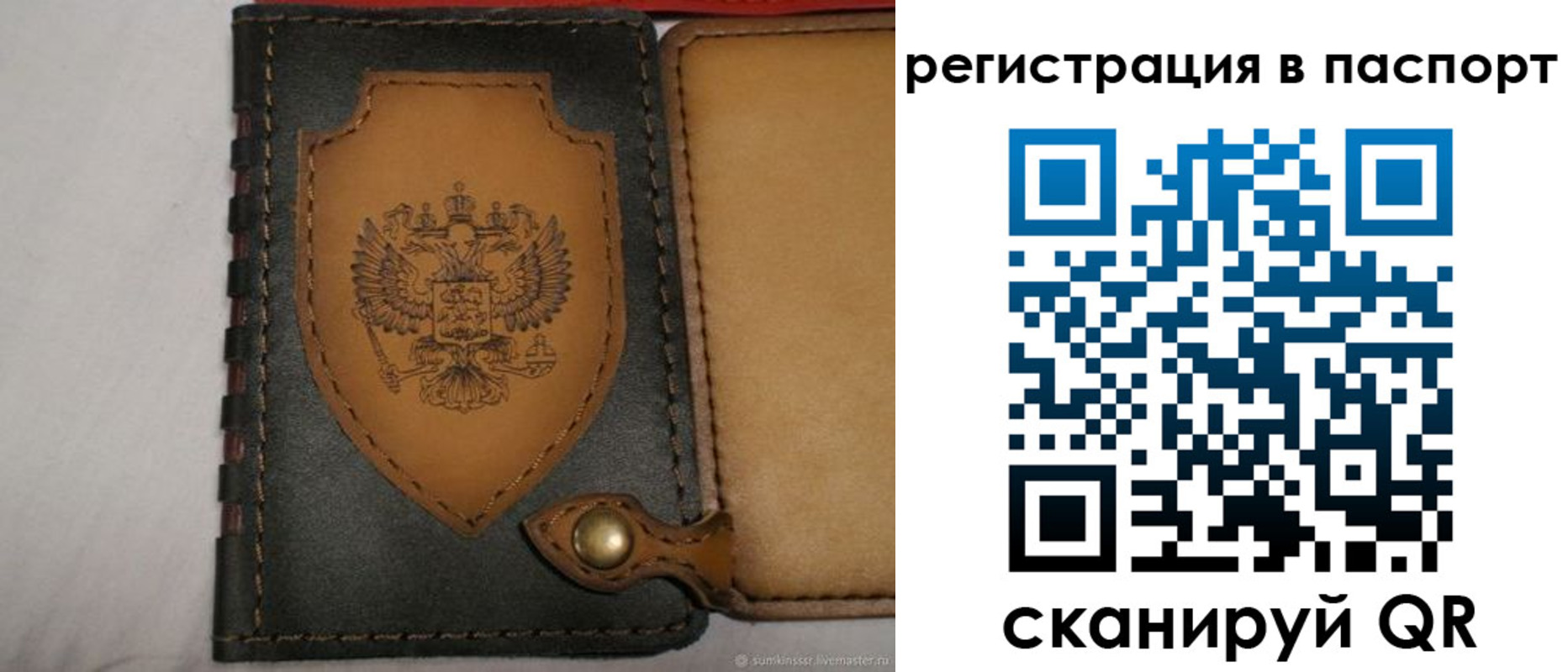 прописка поиск в Курганской области